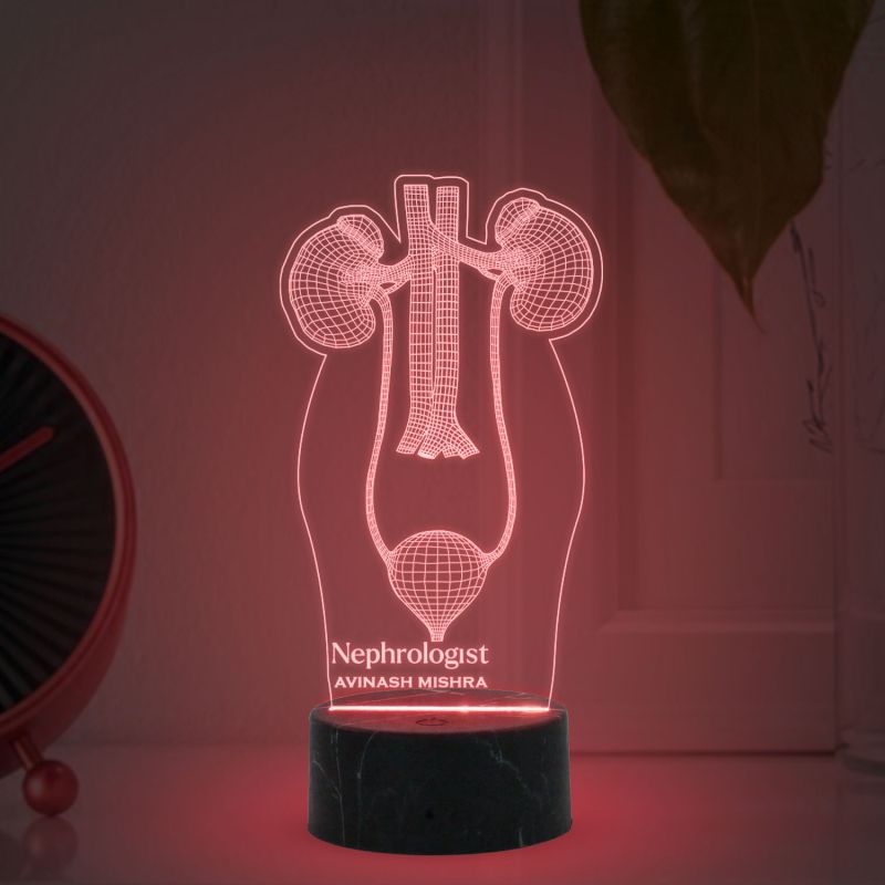 3D Illusion Kidney Led Lamp Nephrologist Kidney Light Multicolored Night Light with Remote Control